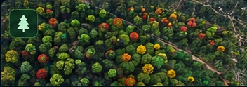 Generic synthetic geospatial project visual